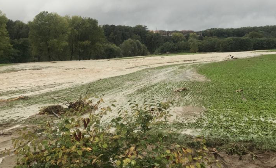 Agricoltori in ginocchio: “Contro la burocrazia provvedimenti straordinari”