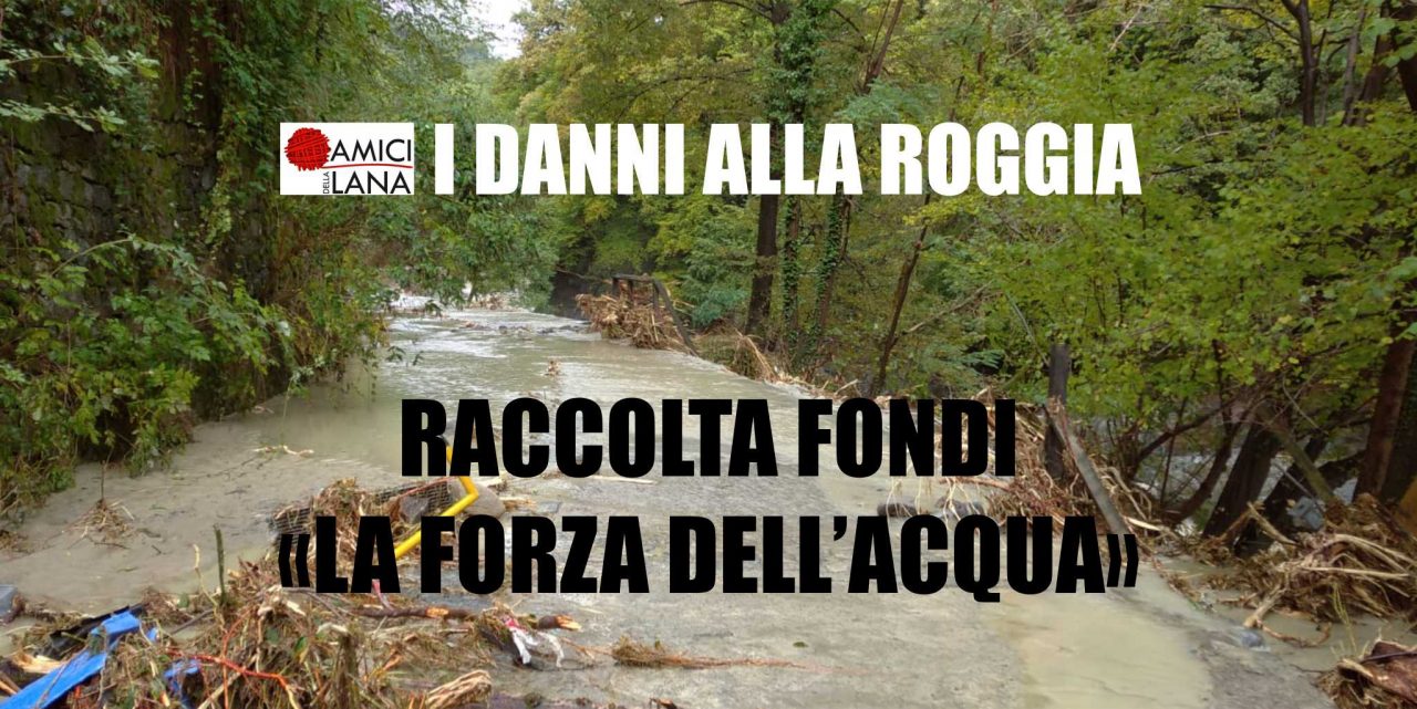 L’appello da Miagliano: “Una raccolta fondi per la nostra passeggiata”