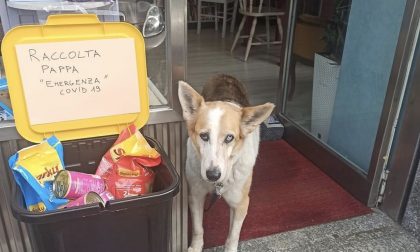 La "scatozampa", dove donare e ricevere la spesa solidale per amici pelosi