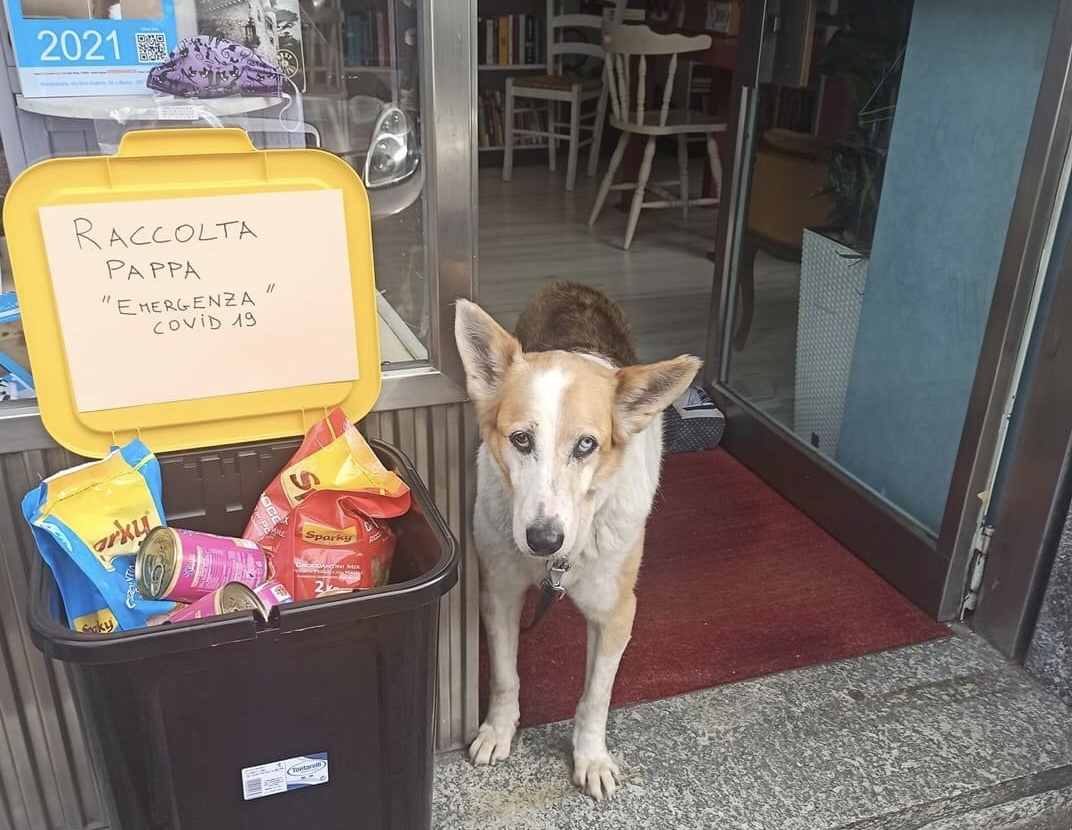 La “scatozampa”, dove donare e ricevere la spesa solidale per amici pelosi