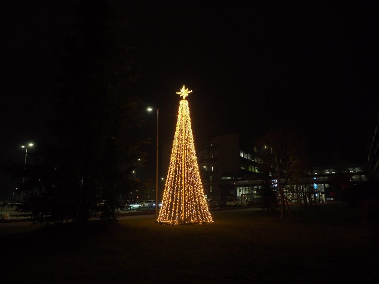 Ospedale, albero di Natale simbolo di vicinanza agli operatori sanitari-FOTOGALLERY