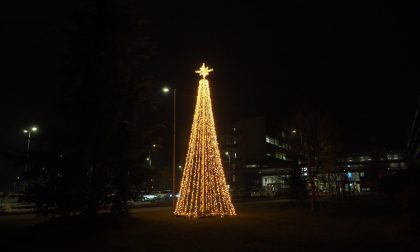 Ospedale, albero di Natale simbolo di vicinanza agli operatori sanitari-FOTOGALLERY