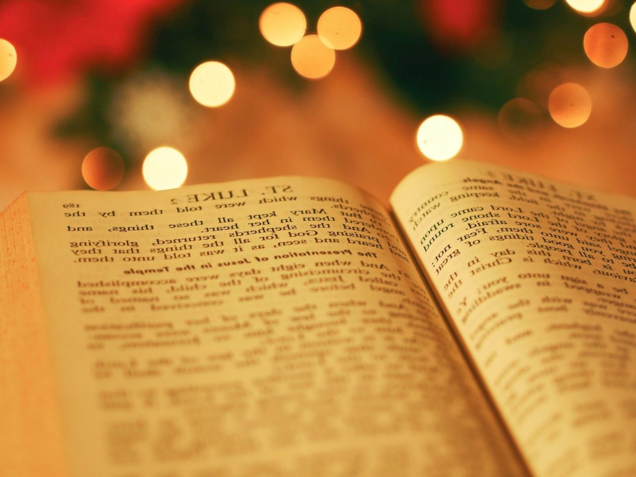 Poesie granata, anche una biellese nell’albo d’oro