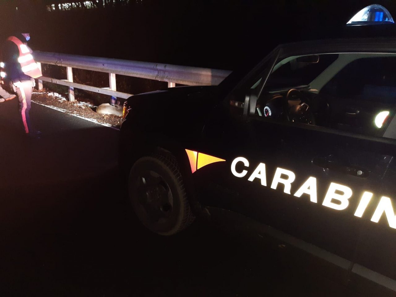Travolge un capriolo di notte sulla provinciale della Valle Elvo: illeso, ma danni seri alla sua auto