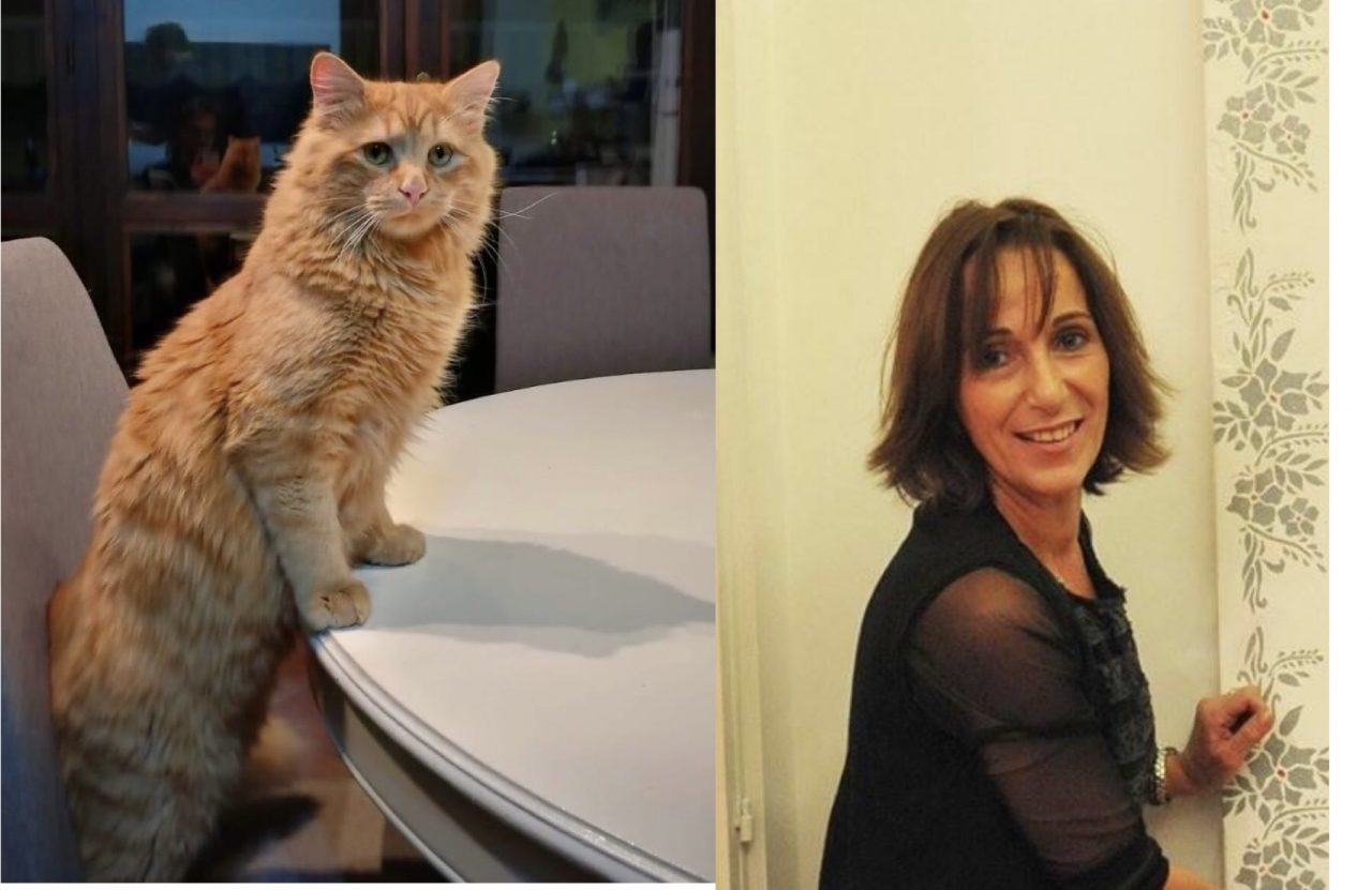 Chi ha visto Athos? E’ il gatto di Lilly, manca da dicembre