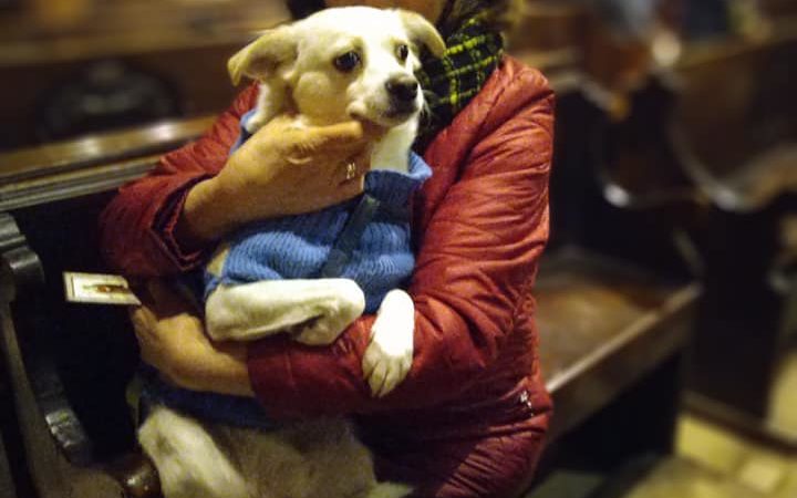 Torna la messa dedicata ai cani. Ecco quando e dove