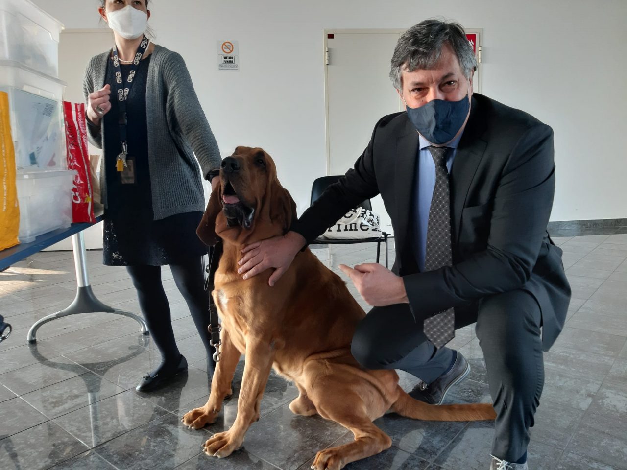 I cani che “fiutano” il Covid sono già al lavoro in un progetto regionale