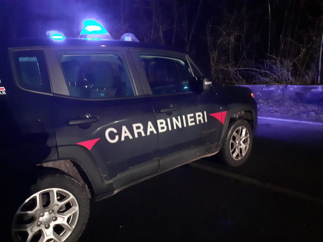 La banda delle farmacie fallisce il colpo a Vigliano