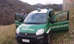 Brucia residui vegetali in periodo vietato: sanzione di 600 euro dei Carabinieri forestali