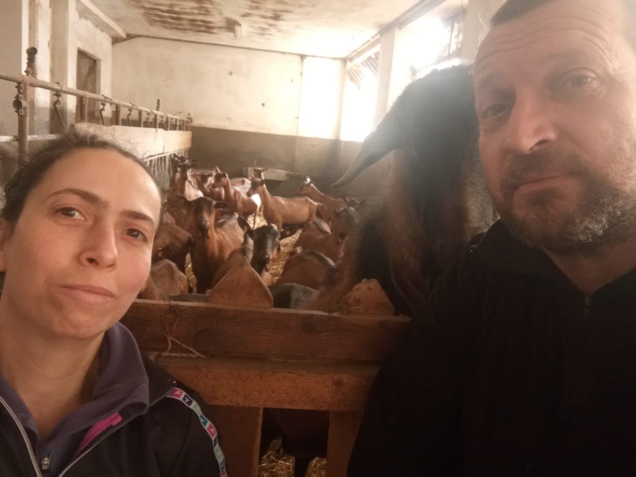 «La nostra nuova vita insieme alle capre»