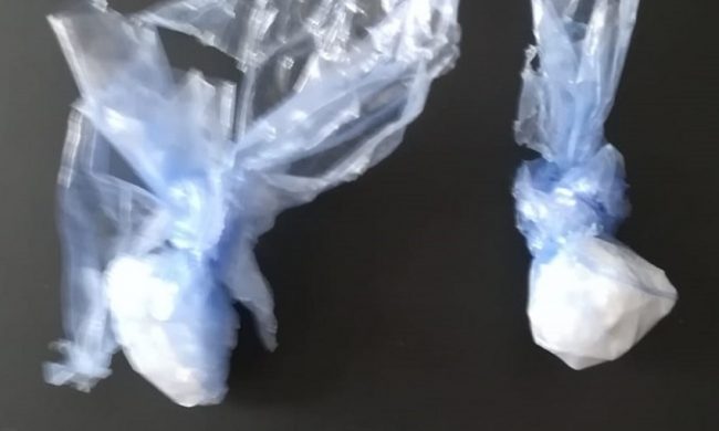 Usa il suo cane come corriere della droga, arrestata