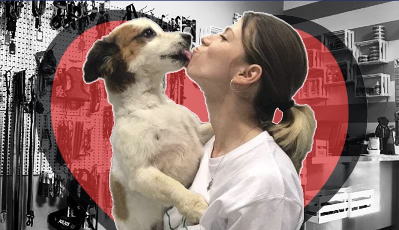 In Piemonte riparte la toelettatura animali