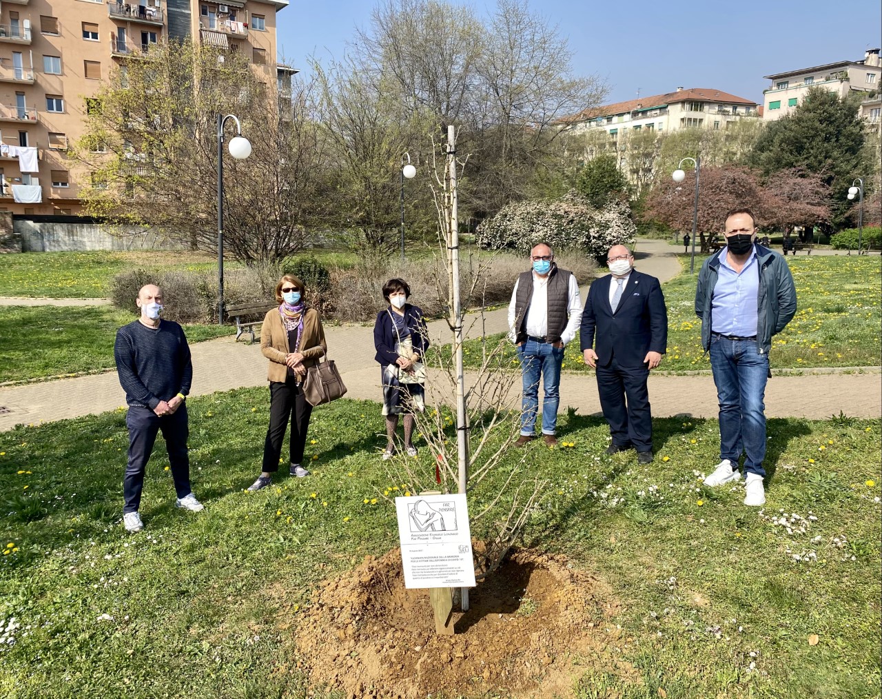 Biella, piantato un ginkobiloba in memoria delle vittime del Covid-19