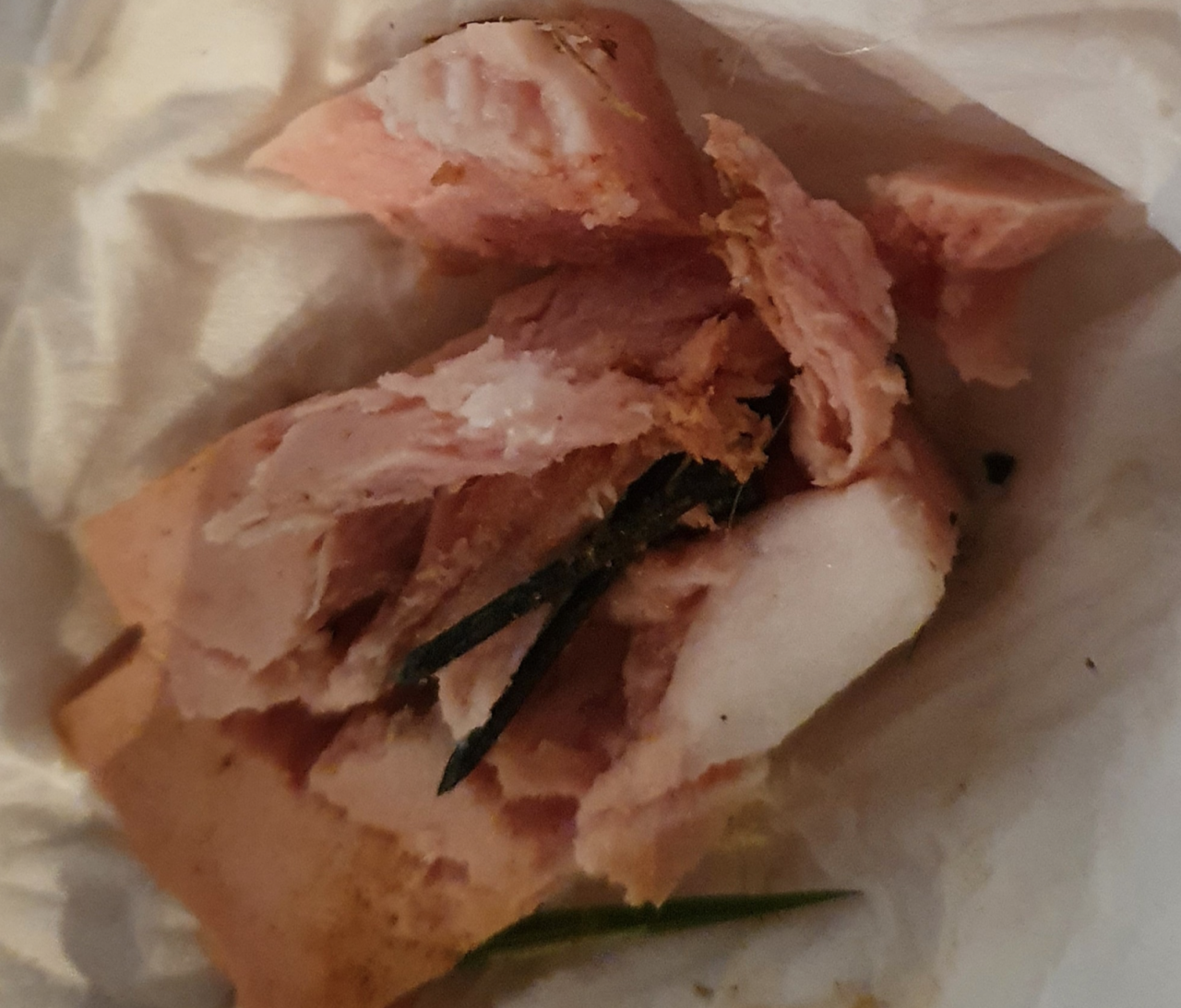 “Boccone di mortadella con chiodi, attenti ai vostri cani”