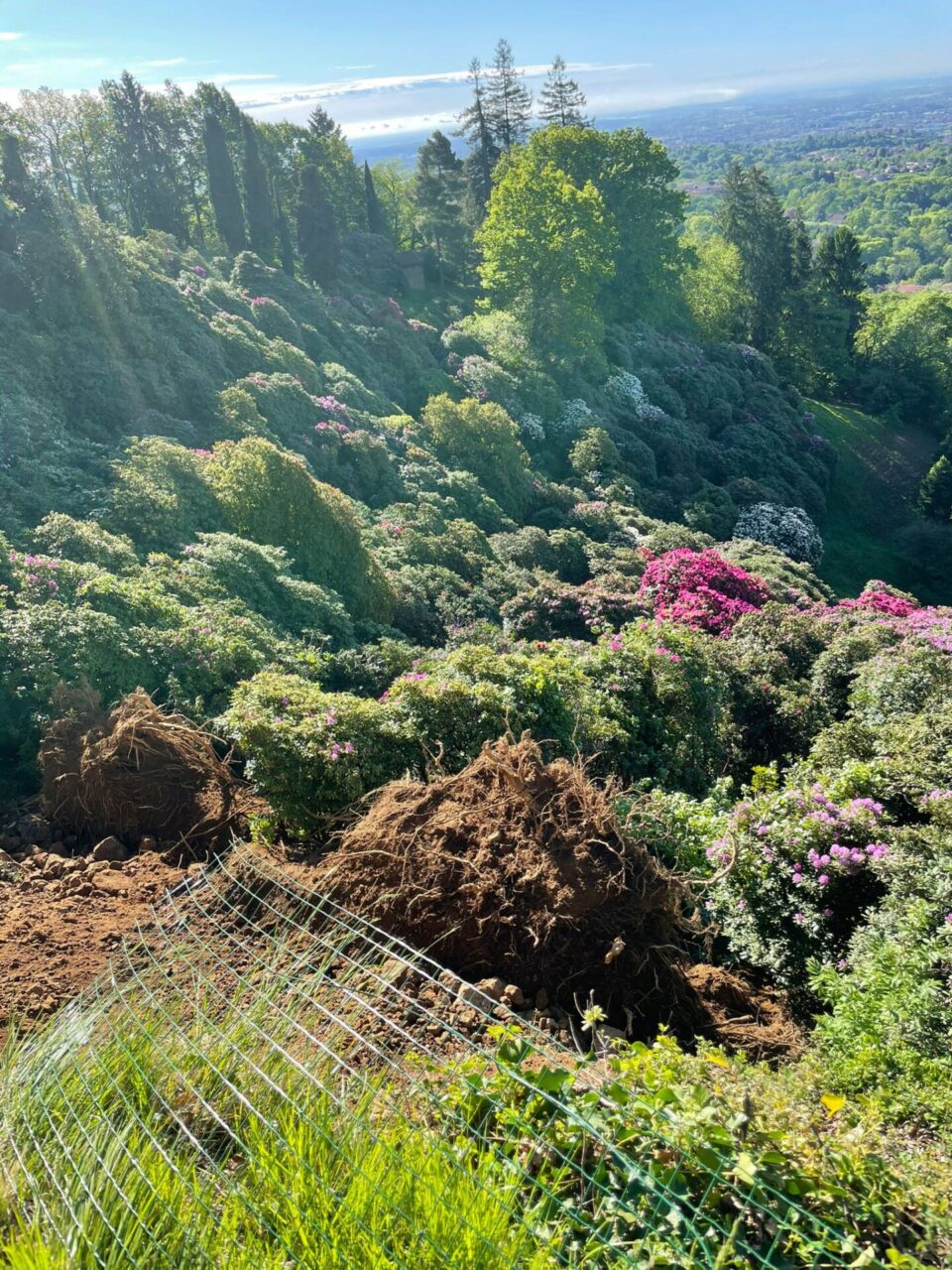 Le foto del disastro in Burcina, collassato il viale dei rododendri
