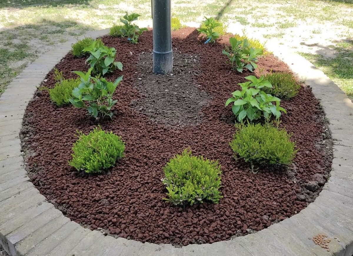 Cavagliá “invaso” dai fiori