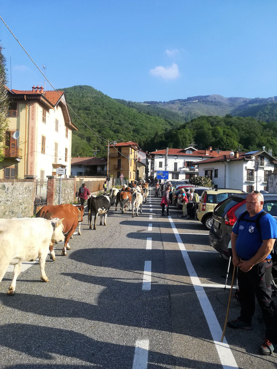 Cosa fare a Biella e provincia: gli eventi del weekend (28 e 29 maggio 2022)
