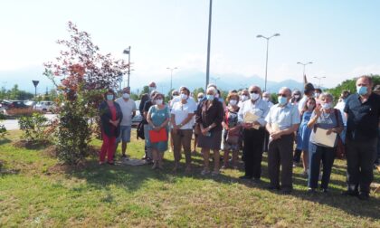 Da Ail 4 alberi per l’area verde dell’ospedale. Ecco le foto della cerimonia di piantumazione