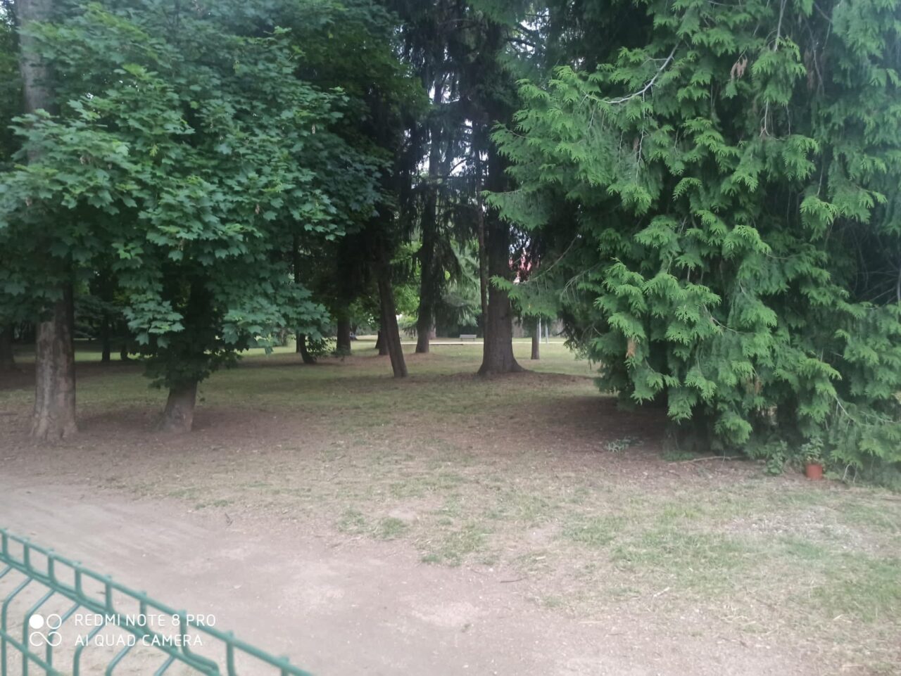 Pulitura in tempi record del Parco della Rovere contro lo spaccio
