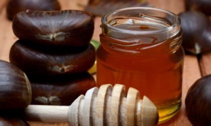 Il nuovo pesticida “amico delle api” in realtà le uccide