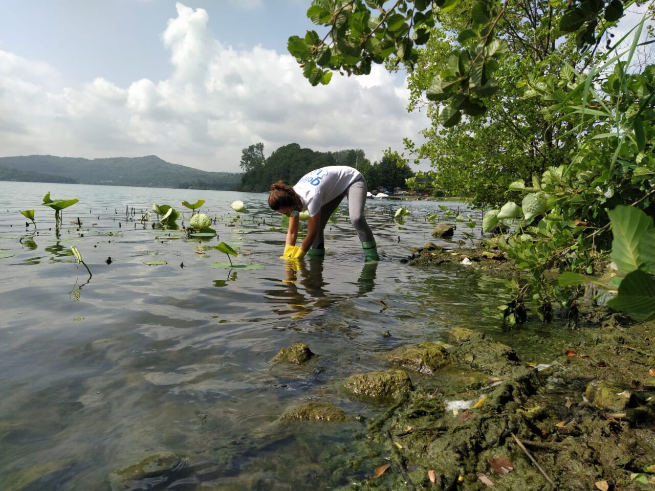 Lago di Viverone inquinato? Legambiente lancia l’allarme