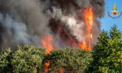 Incendio a Milano: le foto, i video, il gattino, Mahmood e il videoracconto di Morgan