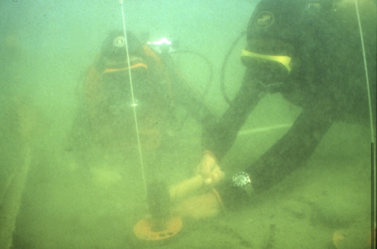 Il sito Unesco del Lago di Viverone compie 10 anni. Ecco gli appuntamenti