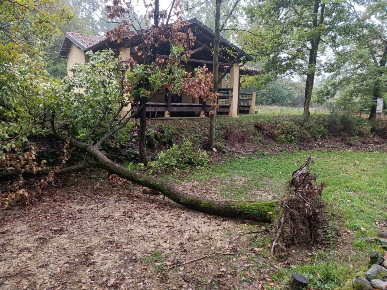 Sos Bessa: «Pericoli e troppe carenze»