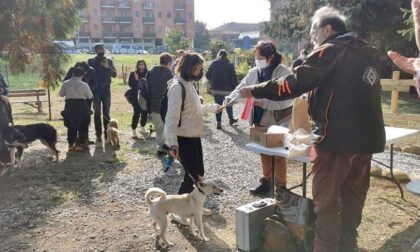 Ecco le foto dell’evento al Parco della Rovere dedicato ai cani