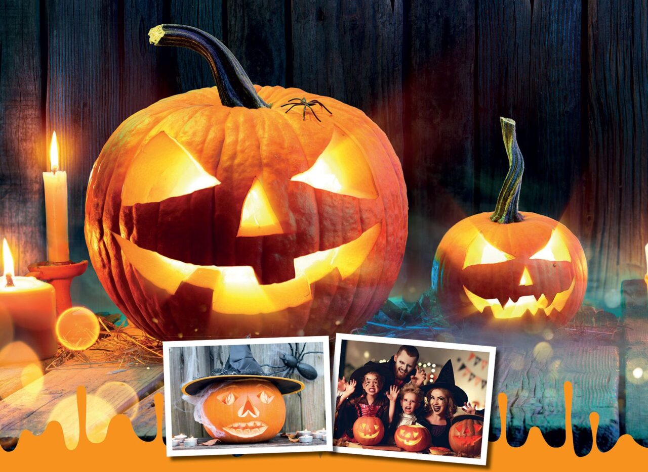 Halloween sta arrivando: decora una zucca e mandaci la foto. Eco di Biella la pubblicherà