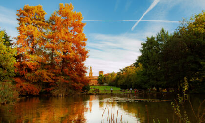 Foliage in città