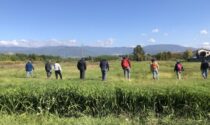 Sospesa la caccia a 4 specie di fauna tipica alpina in Piemonte