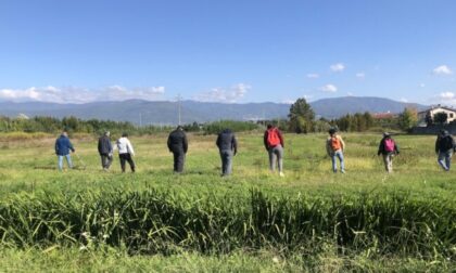 Sospesa la caccia a 4 specie di fauna tipica alpina in Piemonte