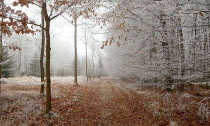 Temperature rigide ma tempo stabile | Meteo Piemonte