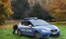 Volante della Polizia impantanata a Biella, ragazzi corrono in aiuto degli agenti