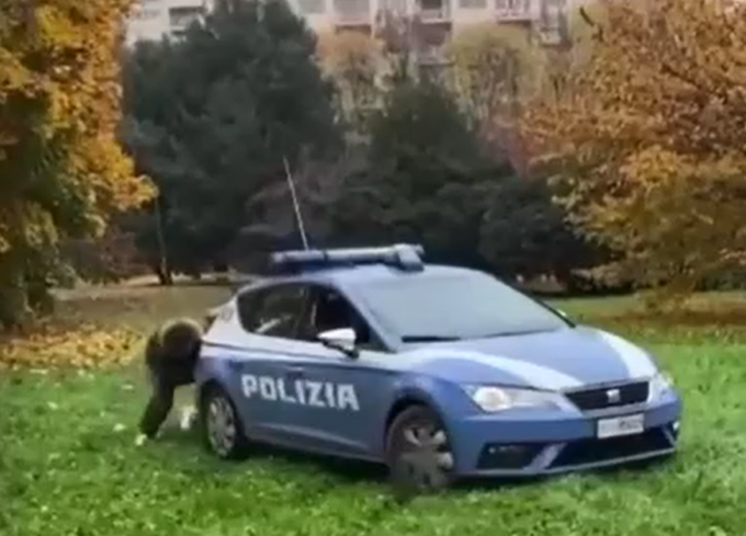 Volante della Polizia impantanata a Biella, ragazzi corrono in aiuto degli agenti
