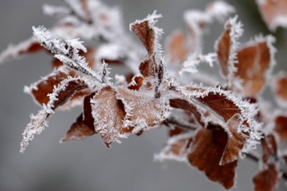 Meteo Biella: inizia l'anno