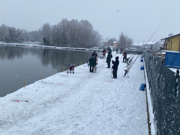 Nevica: rami in mezzo alla strada e quattro auto bloccate dal ghiaccio