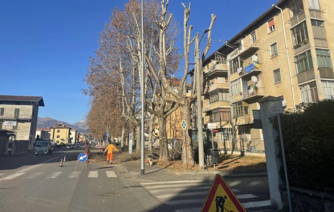 Biella, iniziate le potature: costeranno 80mila euro
