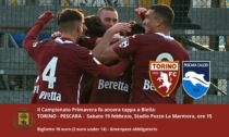 Sabato allo stadio c’è Torino-Pescara