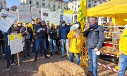 Coldiretti in piazza a Torino: "Prezzi troppo alti, basta speculazioni"