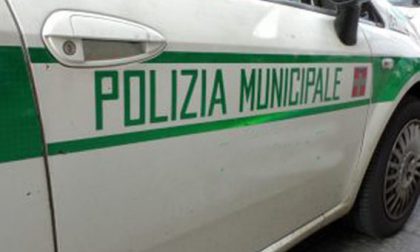 Trovati otto cani morti chiusi nei sacchi della spazzatura