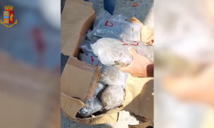 Avevano 70 chili di droga nascosta tra le arance: due autisti arrestati