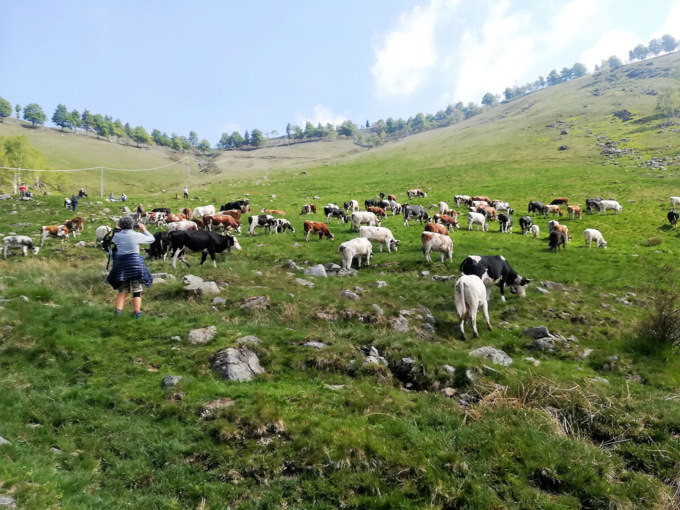 Domenica 29 maggio torna “Transumando”