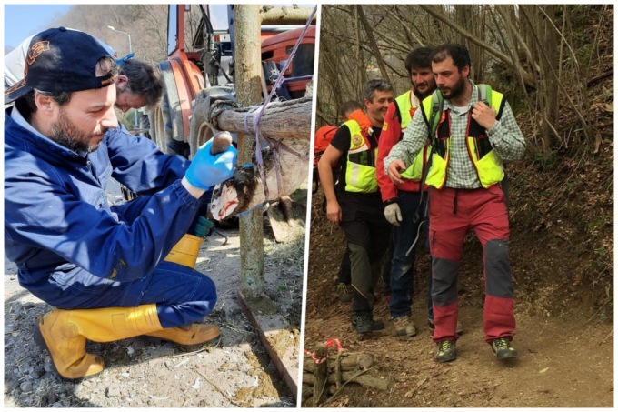 Veterinario morto a 38 anni, il dolore degli amici emiliani