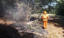 Incendio di pascolo e sottobosco in Valdilana: si sospetta la natura dolosa