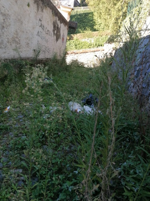 “E se al Piazzo si va a piedi anzichè in ascensore?” Cronaca di un mezzo disastro