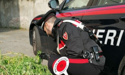 Biellese controllato dai Carabinieri in provincia di Salerno: aveva addosso cocaina e hashish.