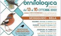 A Mongrando nel fine settimana la mostra ornitologica, evento da non perdere