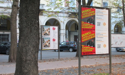 Biellese tappezzato di manifesti contro il governo Meloni